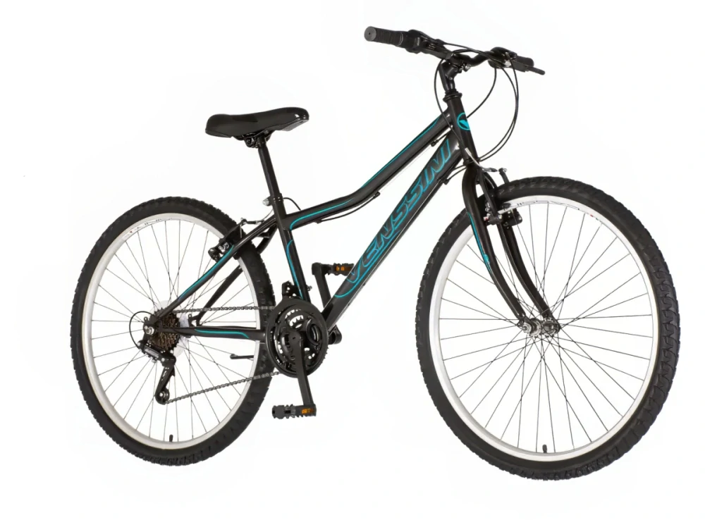 Bicykel Visitor Modena 26" Sivá Tyrkys