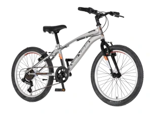Bicykel Visitor Venssini Arcadia 20" Strieborná Čierna