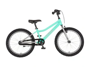 Bicykel ZUZUM-2 20" Tyrkysový Chróm