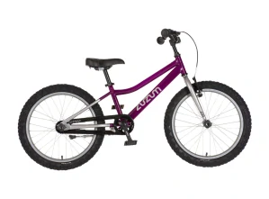 Bicykel ZUZUM-2 20" Fialový Chróm