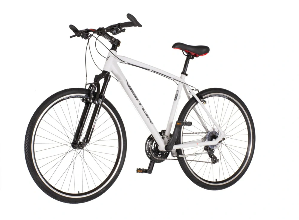 Bicykel Explorer TERRA MAN Sport  28" Biela Sivá