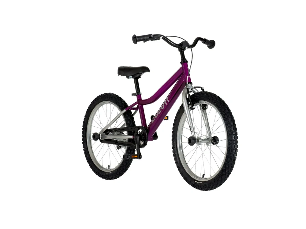 Bicykel ZUZUM-2 20" Fialový Chróm