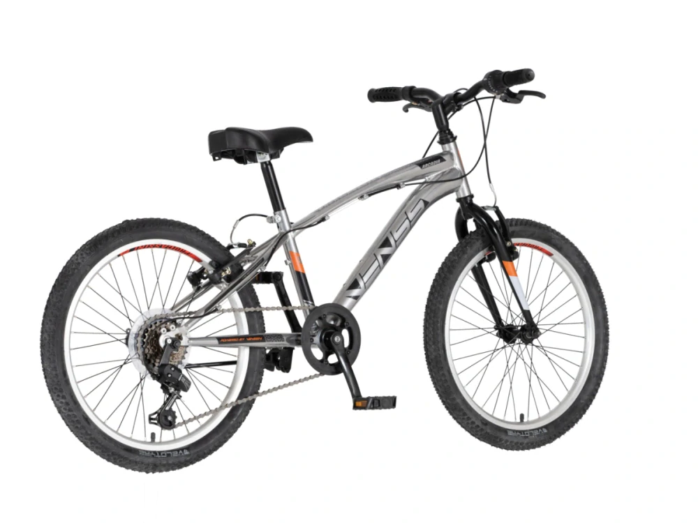 Bicykel Visitor Venssini Arcadia 20" Strieborná Čierna G