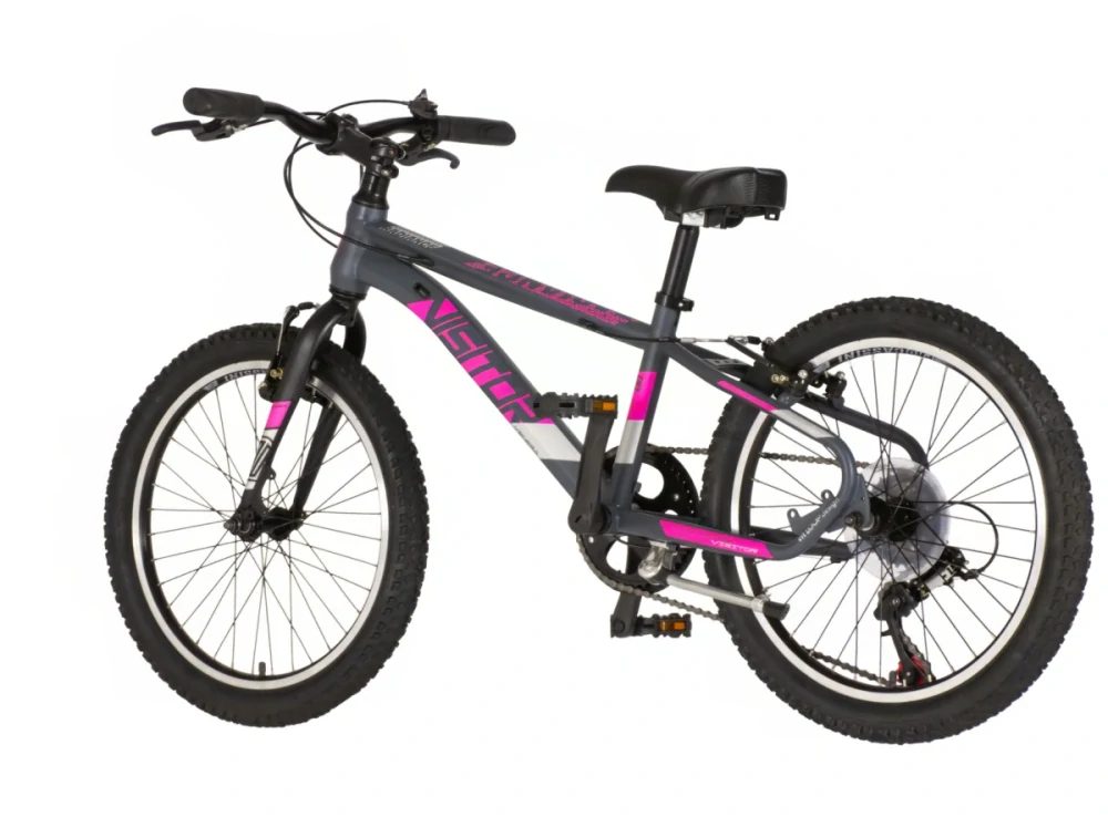 Bicykel Visitor Radiance 20" Sivo Ružová