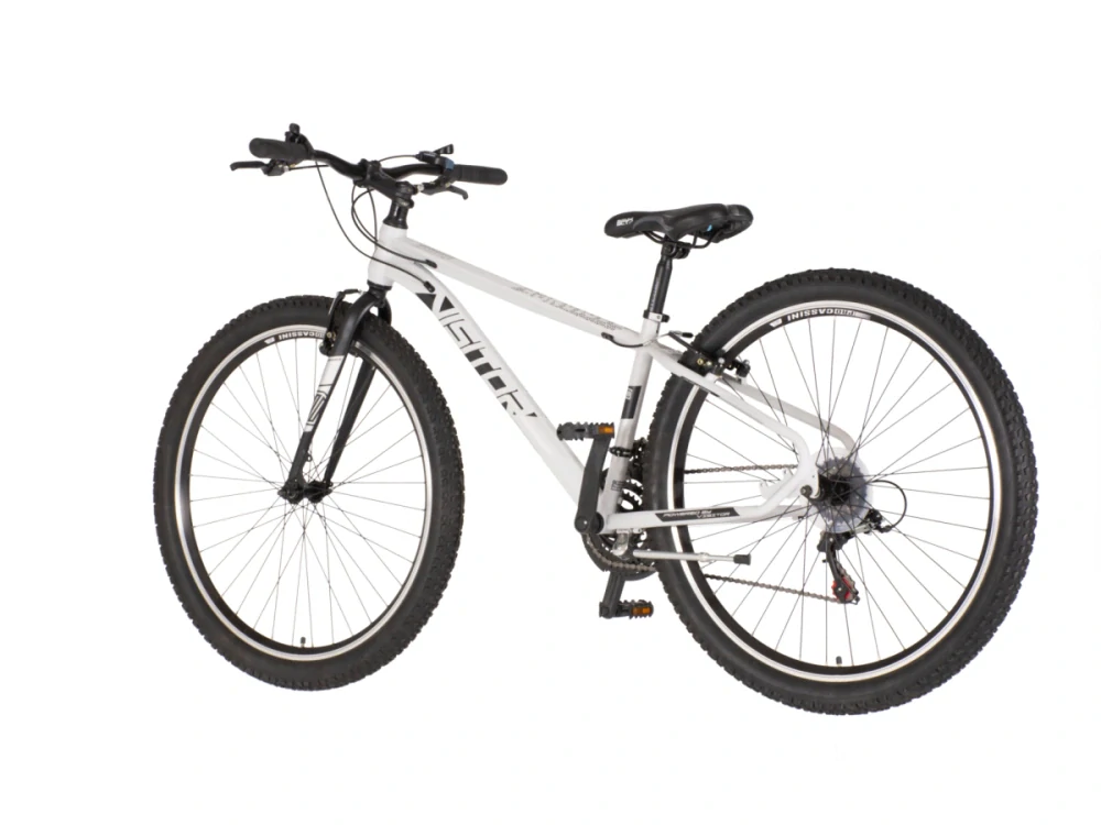 Bicykel Visitor Radiance 29" Bledá Sivá Čierna W