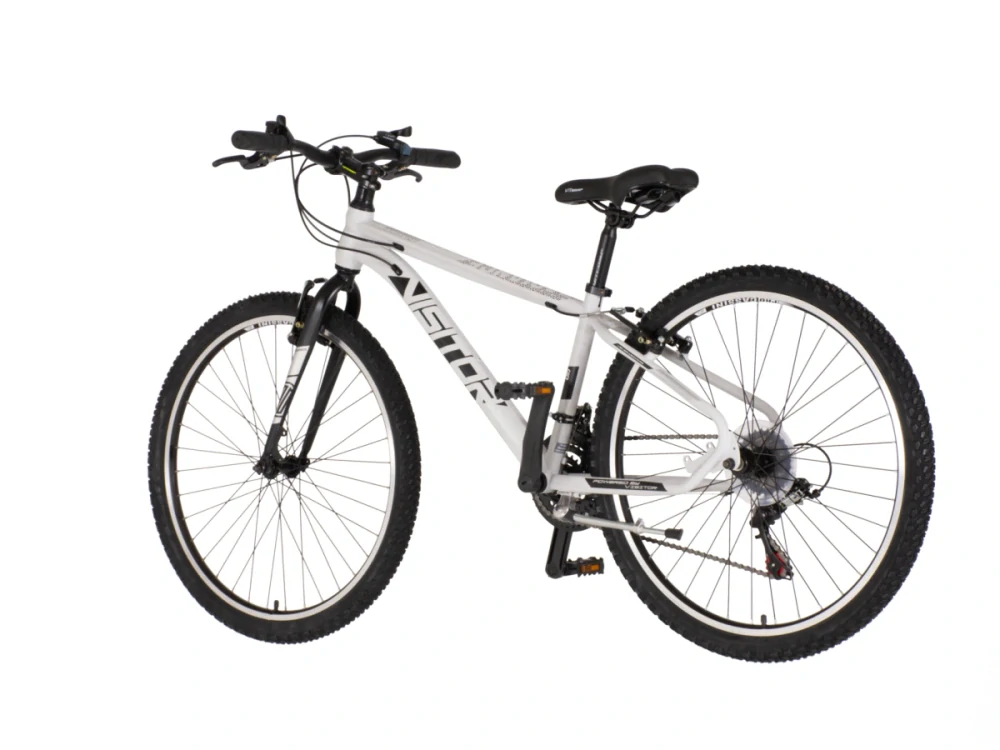 Bicykel Visitor Radiance 26" Bledá Sivá Čierna